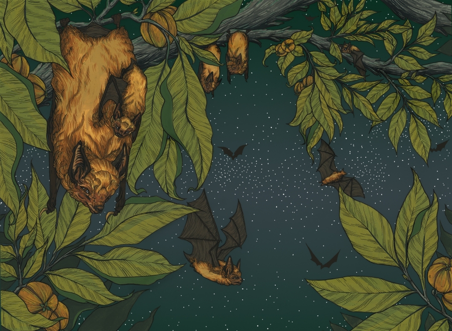 realistic illustration of bats roosting in a tree at night